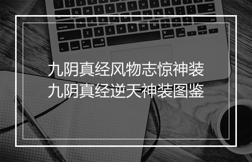九阴真经风物志惊神装　九阴真经逆天神装图鉴