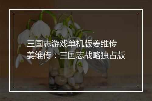 三国志游戏单机版姜维传　姜维传：三国志战略独占版